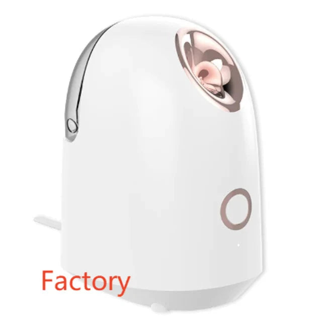 Elera Glow Glow Mist Beauty Steamer